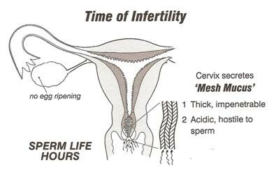 Time of Infertility