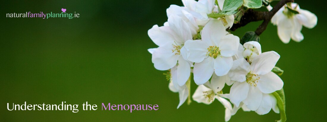 Understanding the menopause
